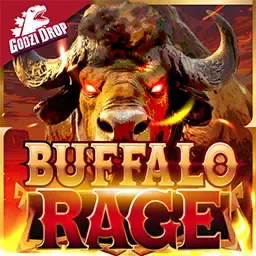 Buffalo Rage game cover